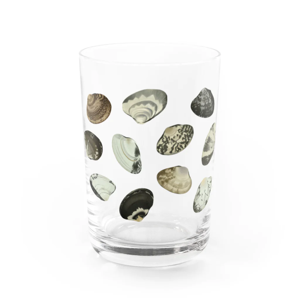 スカシカシパン堂のアサリマニア Water Glass :front