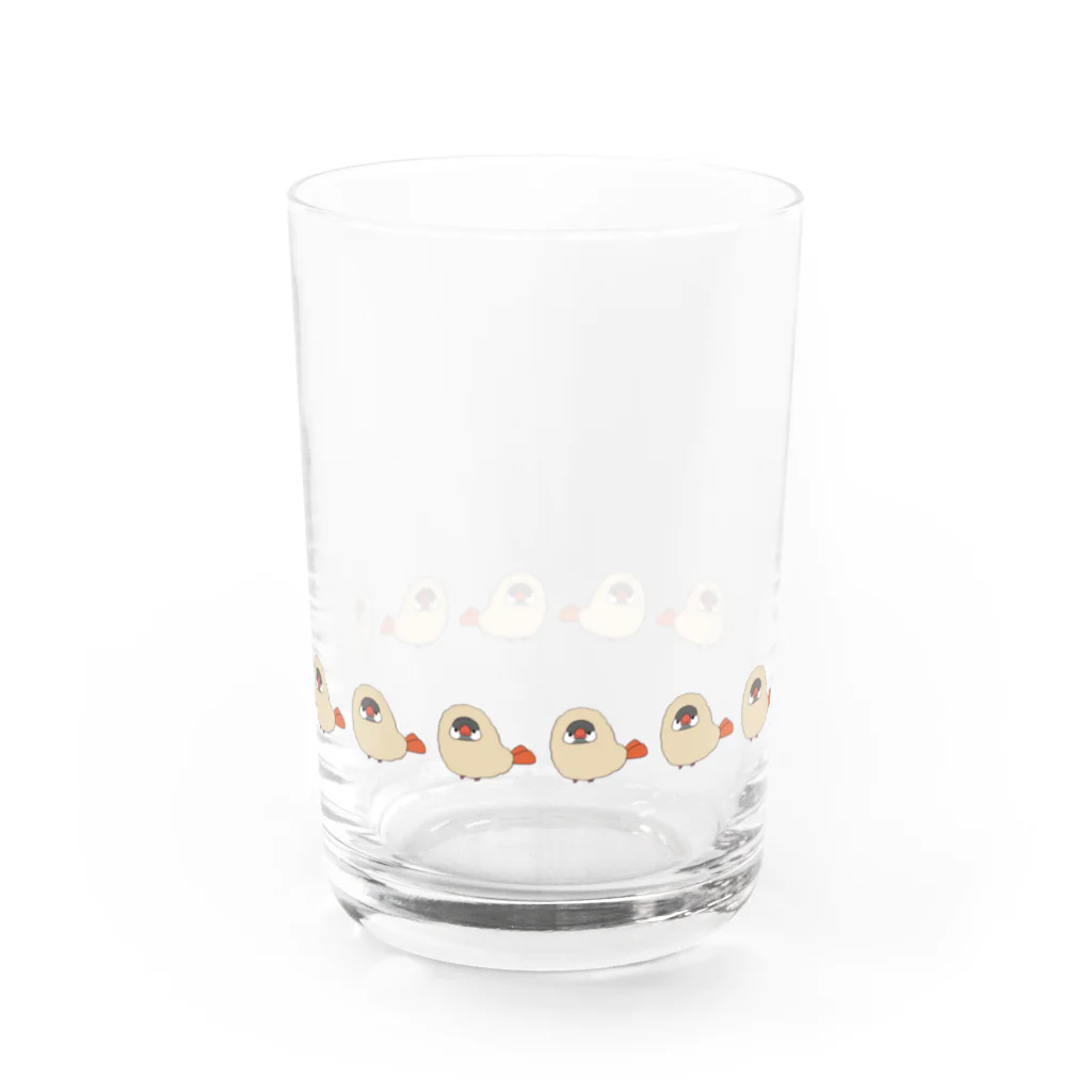 かんやのエビフライ文鳥せいれつ Water Glass :front