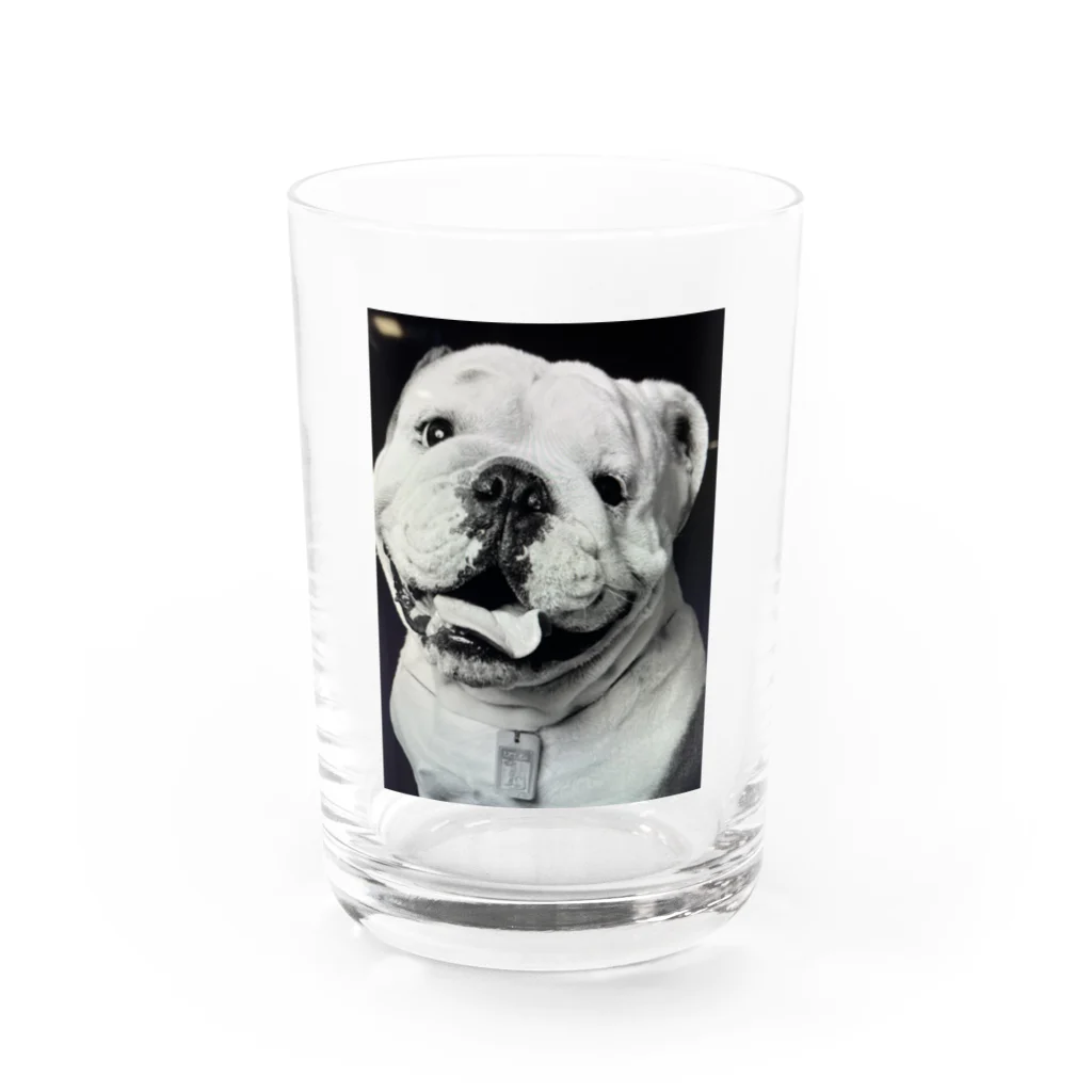 Bullsonのブルドッグ【タイソン】グッズ Water Glass :front