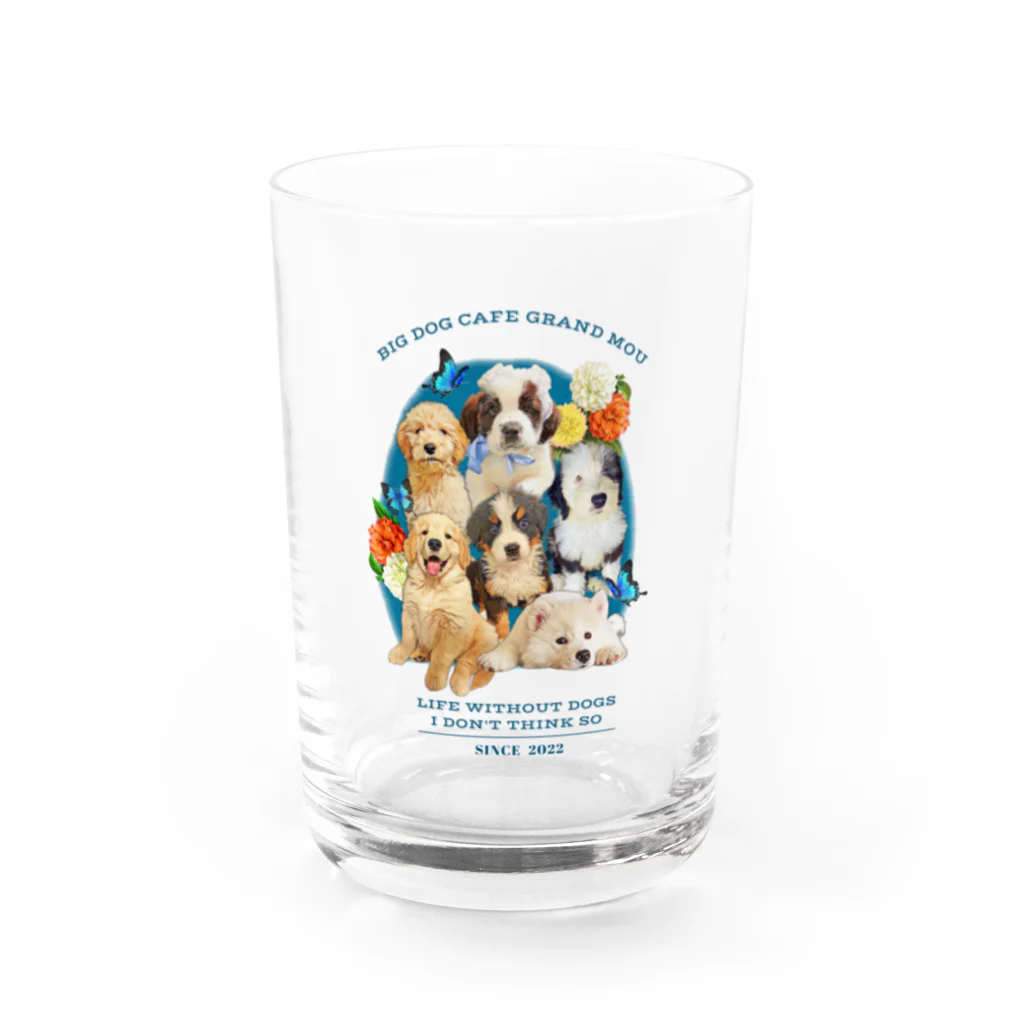 GRAND MOU《ぐらんむー》の大型犬カフェ GRAND MOU《ぐらんむー》2022 Water Glass :front