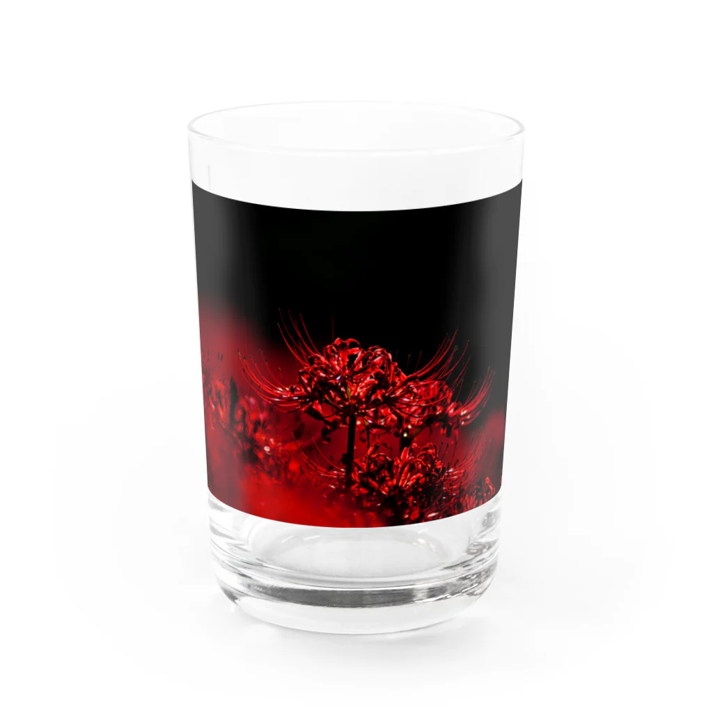 Daijuの曼珠沙華 Water Glass :front