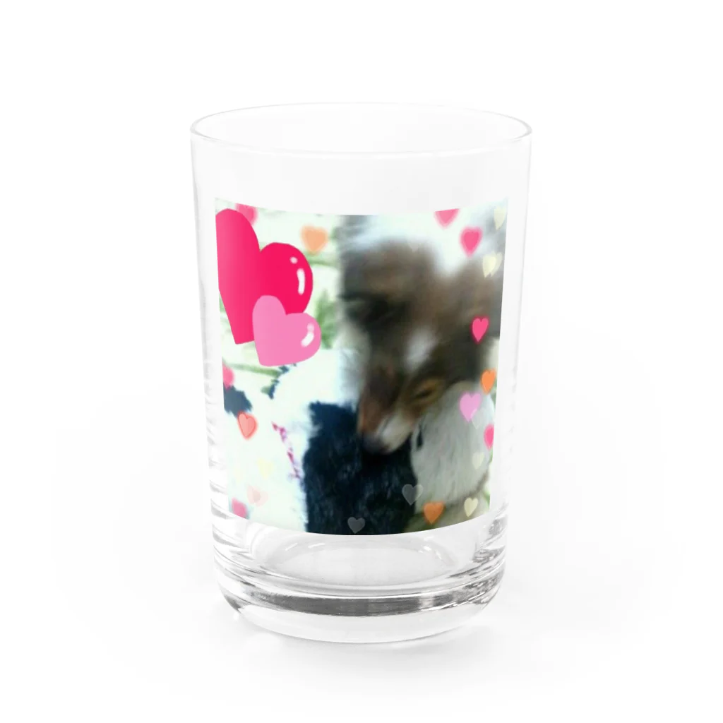 』Always Keep Sunshine in your heart🌻のKantarou the Sheltie Water Glass :front