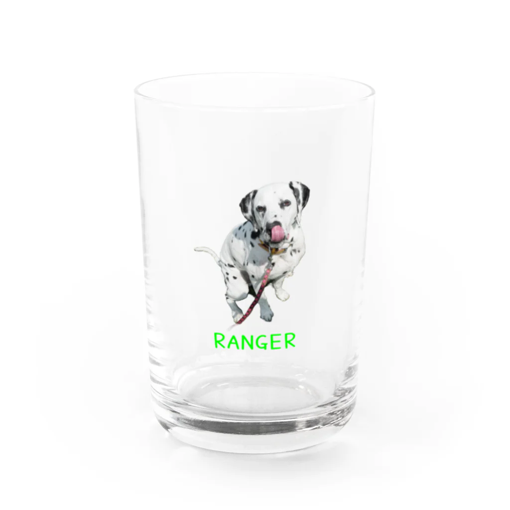 rangerのレンジャー グラス前面