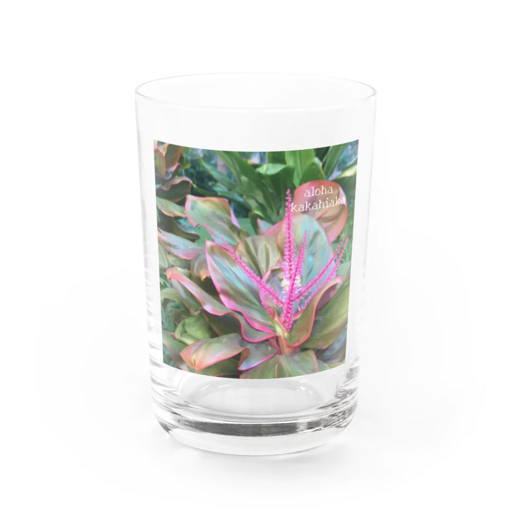 Mahina o Hokuのaloha kakahiaka  Water Glass :front