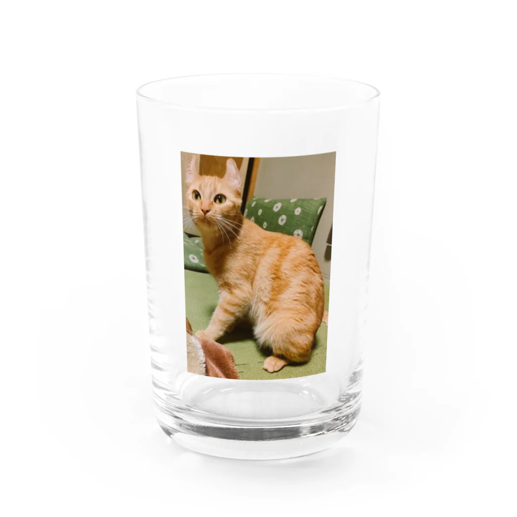 ふじちゃんの猫のまろんちゃんキーホルダー Water Glass :front