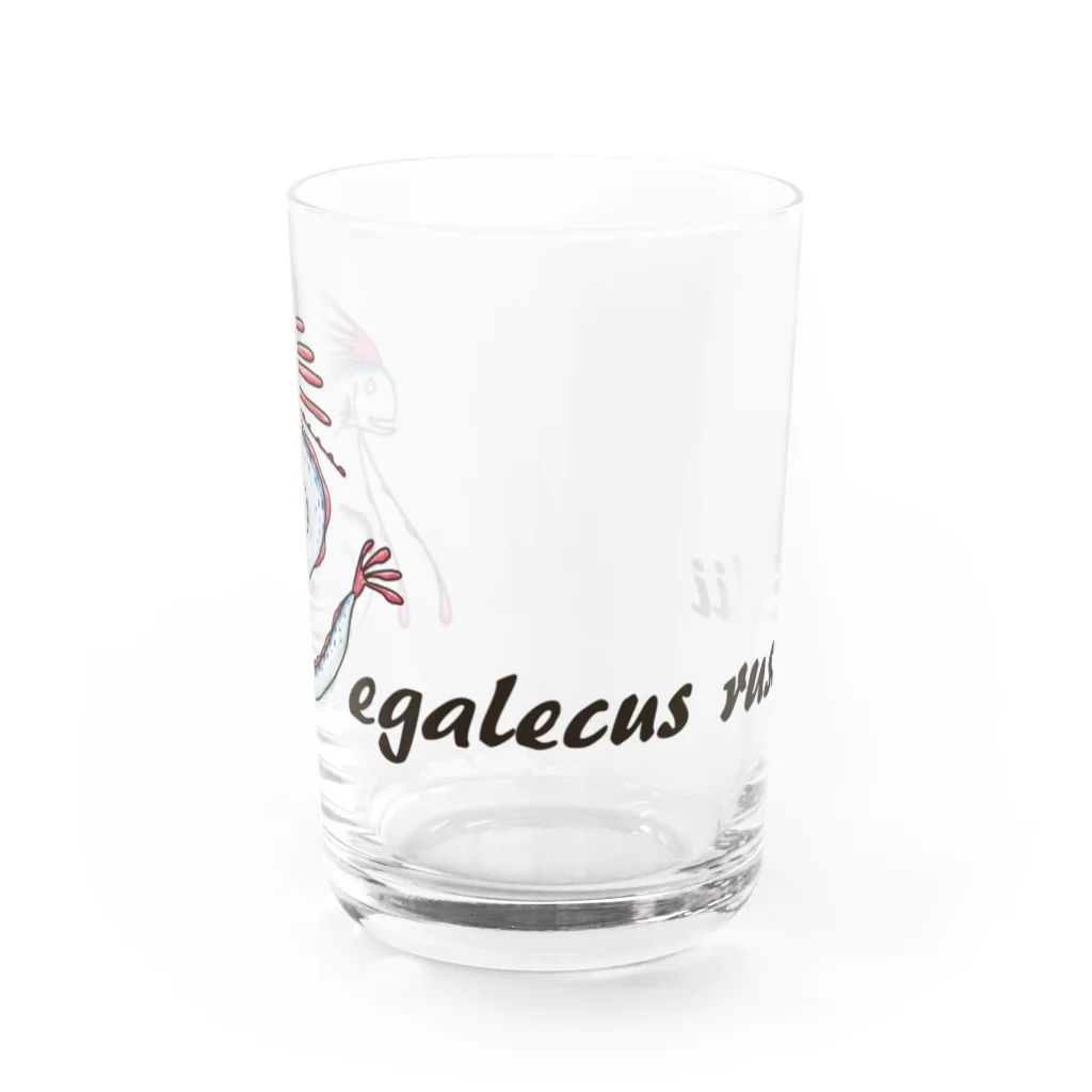 ぺんぎん丸のもっと！リュウグウノツカイ-Regalecus russelii- Water Glass :front