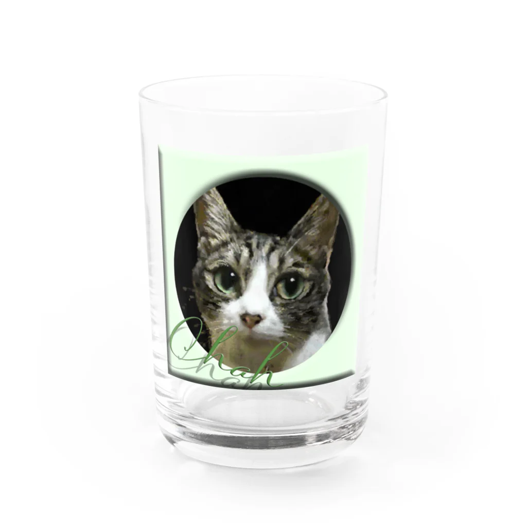 ぬくもふ屋　【猫 犬の似顔絵描き】のchah Water Glass :front