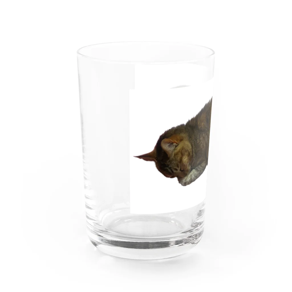 キジトラかもしれないのおねむ猫 Water Glass :left