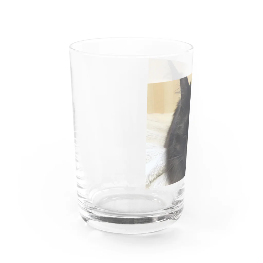 ニャンコの秘密基地のみみちゃん Water Glass :left