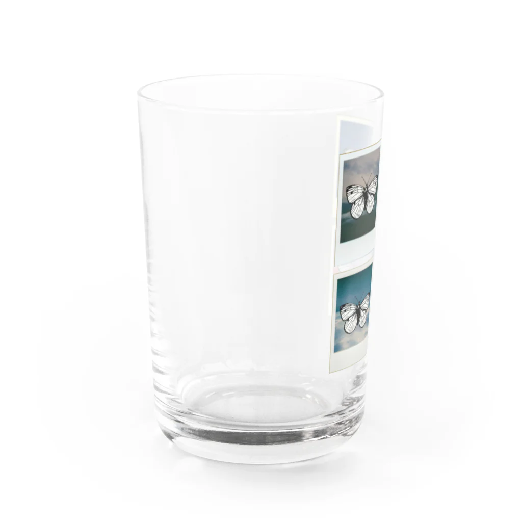 SUNOMONOの記憶標本 Water Glass :left