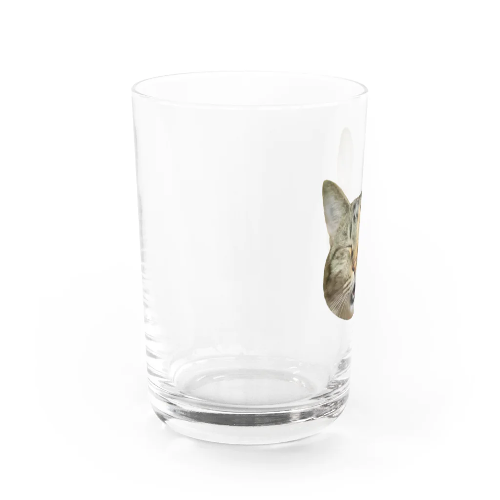 桃くるみSHOPのアハハにゃん Water Glass :left