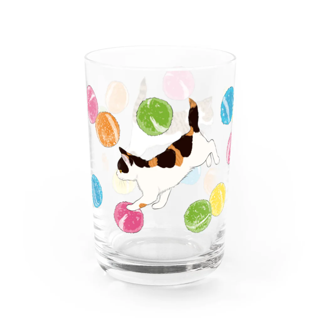 元祖ふとねこ堂のあめぴょん Water Glass :left