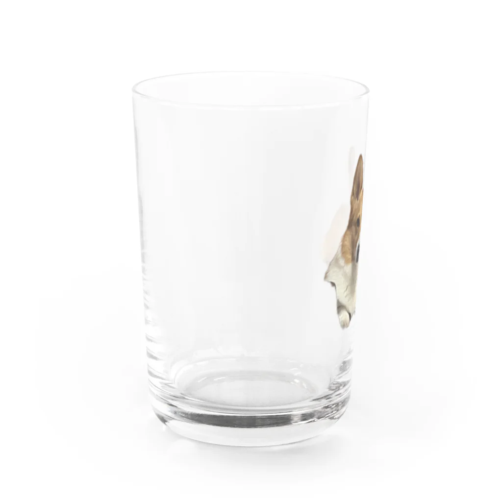 wどうぶつのこてこてつくん Water Glass :left