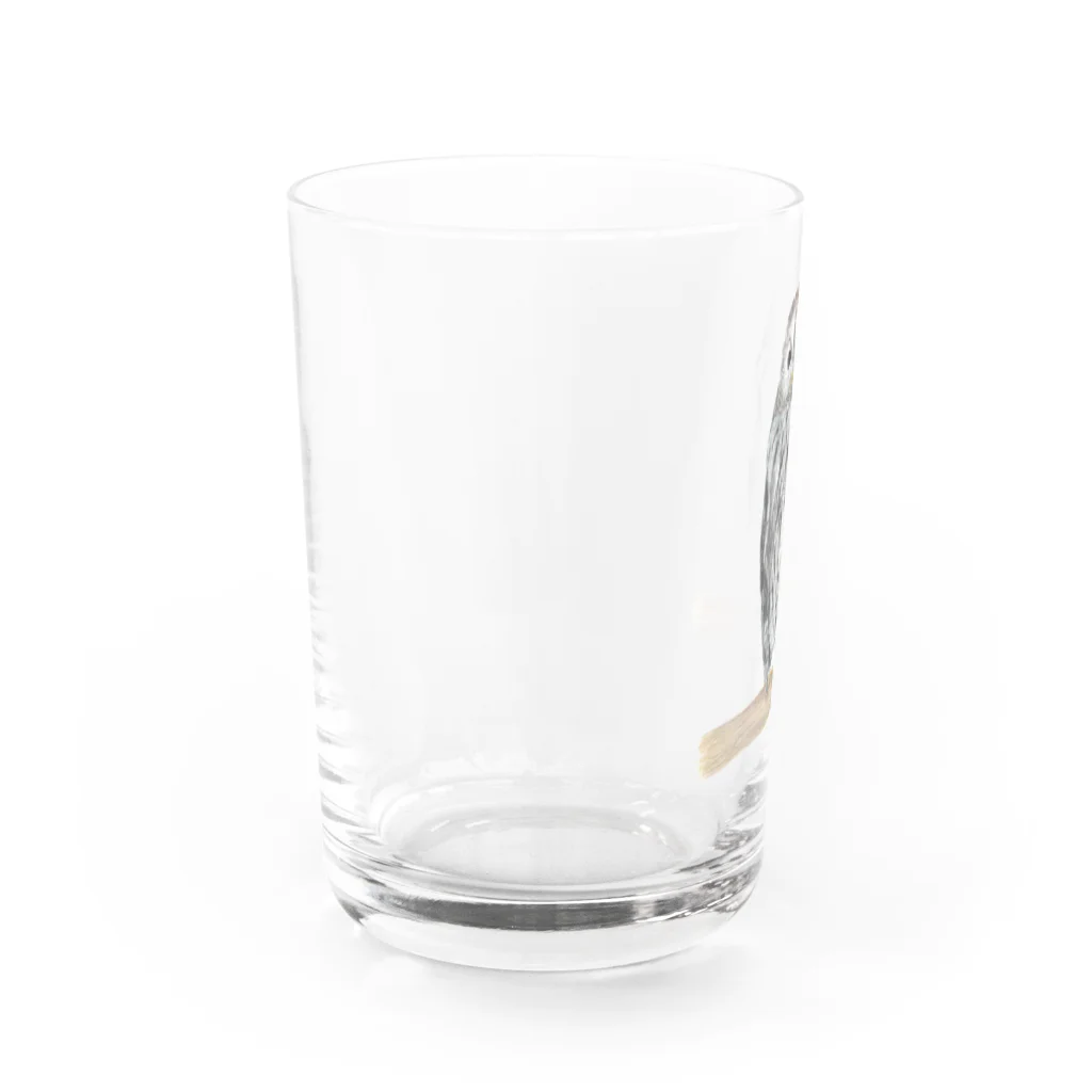 森図鑑の[森図鑑] フクロウ Water Glass :left