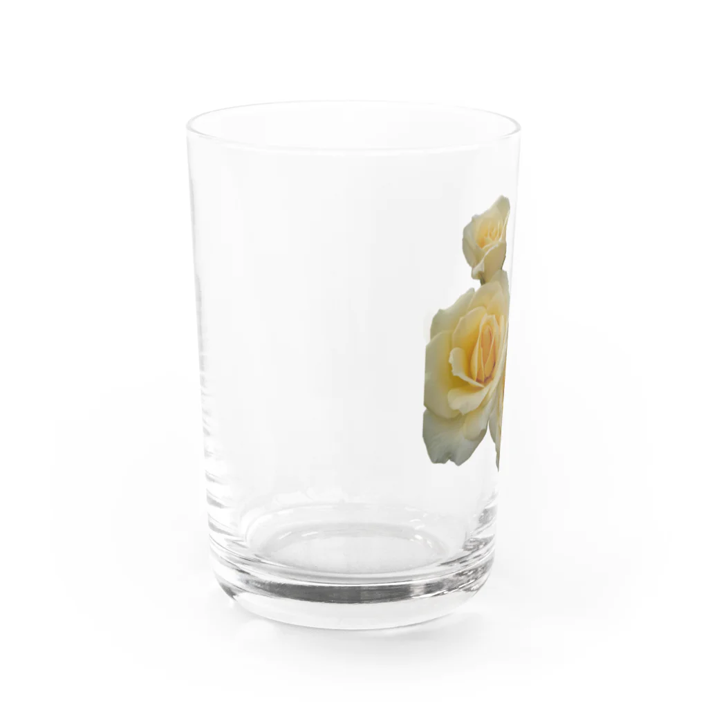 工房マゾヒストの黄色 Water Glass :left