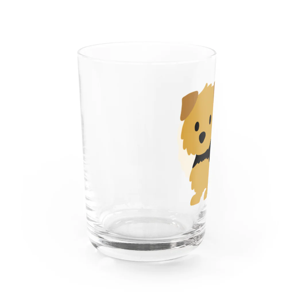 TOMOS-dogのnorfolkterrier（ブラタン） Water Glass :left