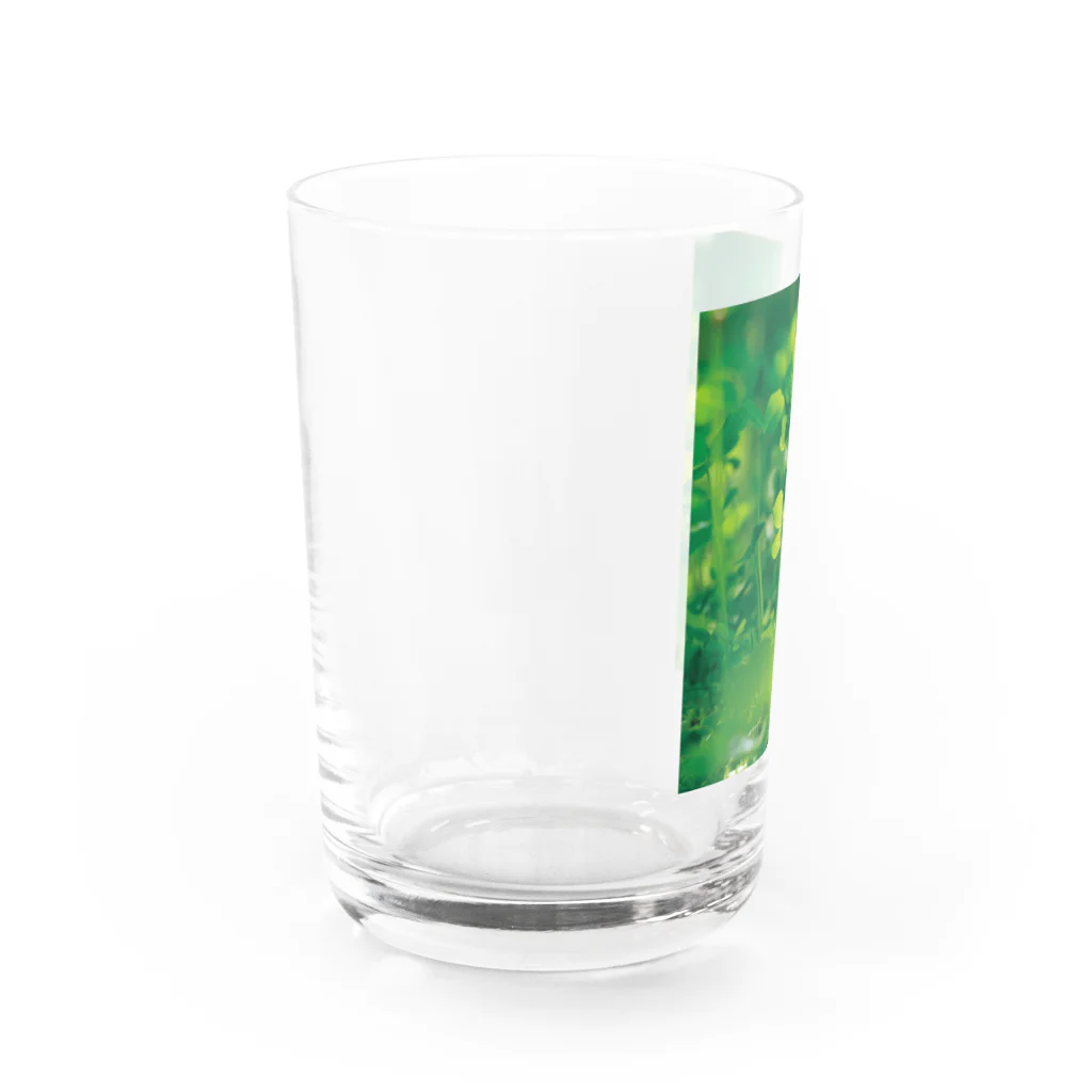 akane_art（茜音工房）の癒しの風景（クローバー） Water Glass :left