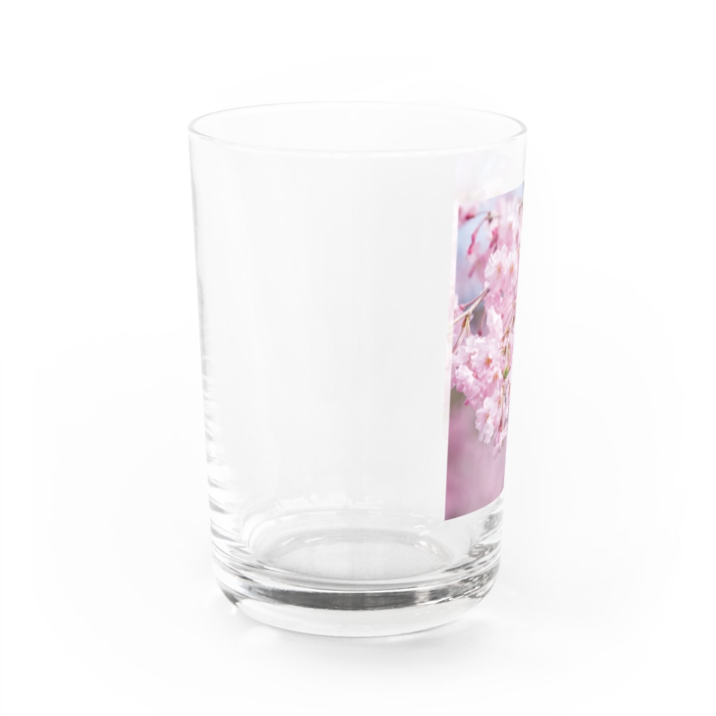 akane_art（茜音工房）の癒しの風景（八重桜） Water Glass :left