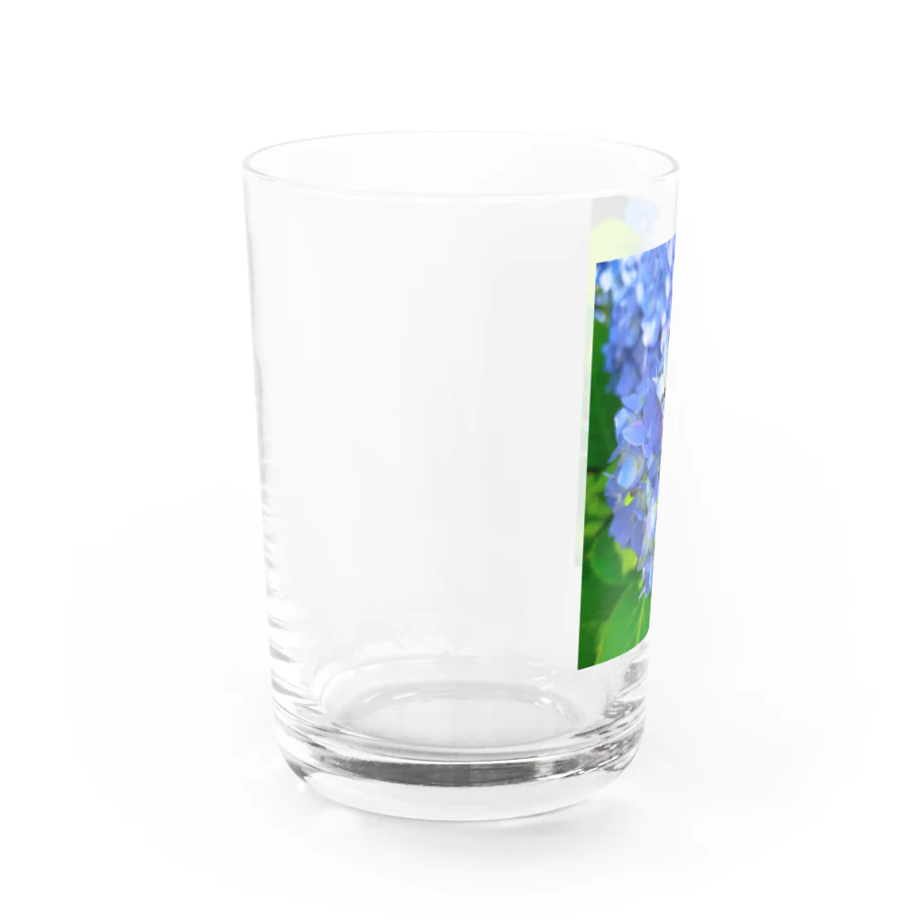 望美【写真】のアジサイ Water Glass :left