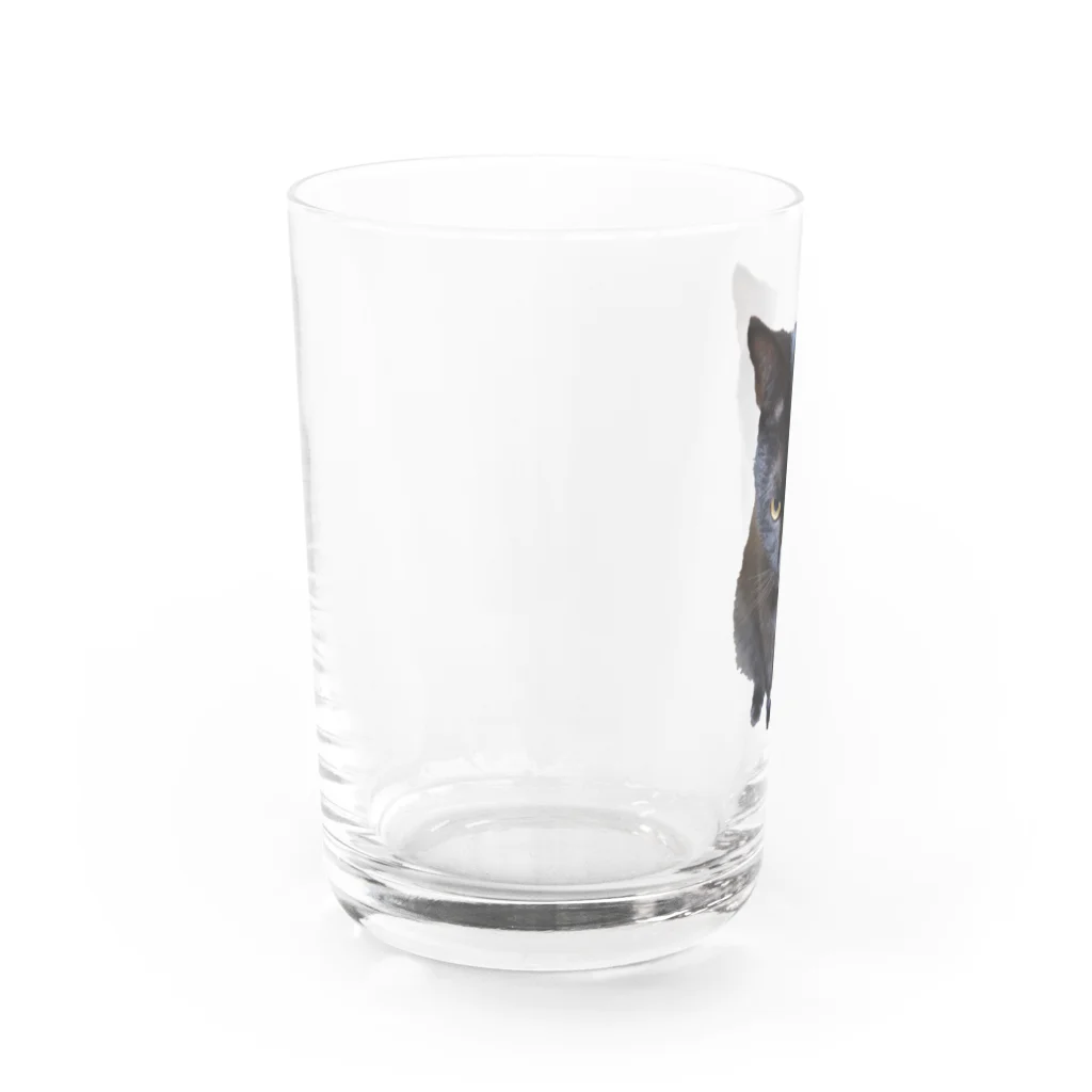 黒猫Onlyの黒猫2 Water Glass :left