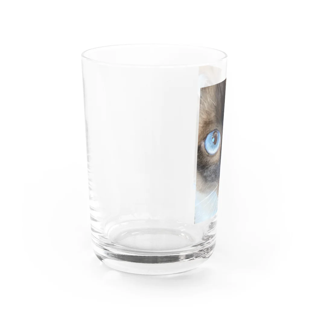 モカちゃんのMacaちゃん Water Glass :left