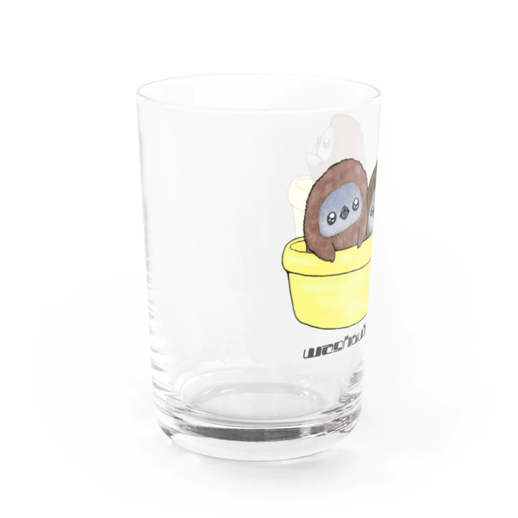 ヤママユ(ヤママユ・ペンギイナ)のタライリムジン(ケープ、マゼラン、フンボルト) Water Glass :left