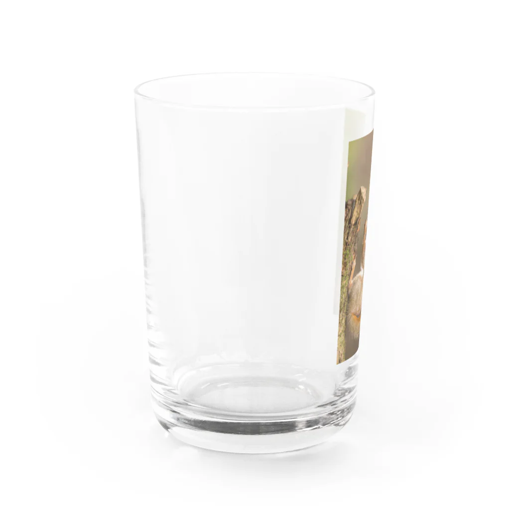 ミラくまのありがたい-リス Water Glass :left