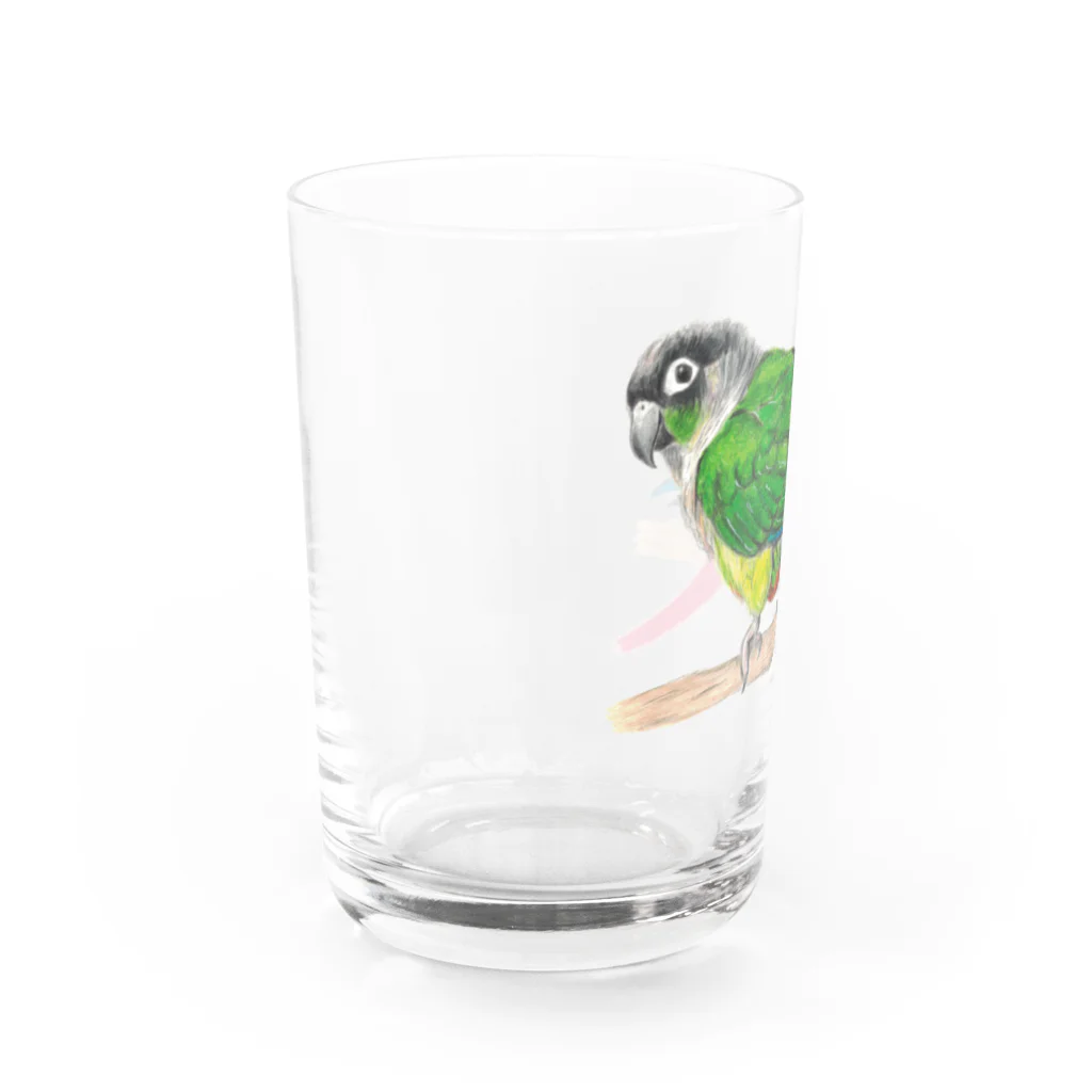 森図鑑の[森図鑑] ウロコインコC 横向き Water Glass :left