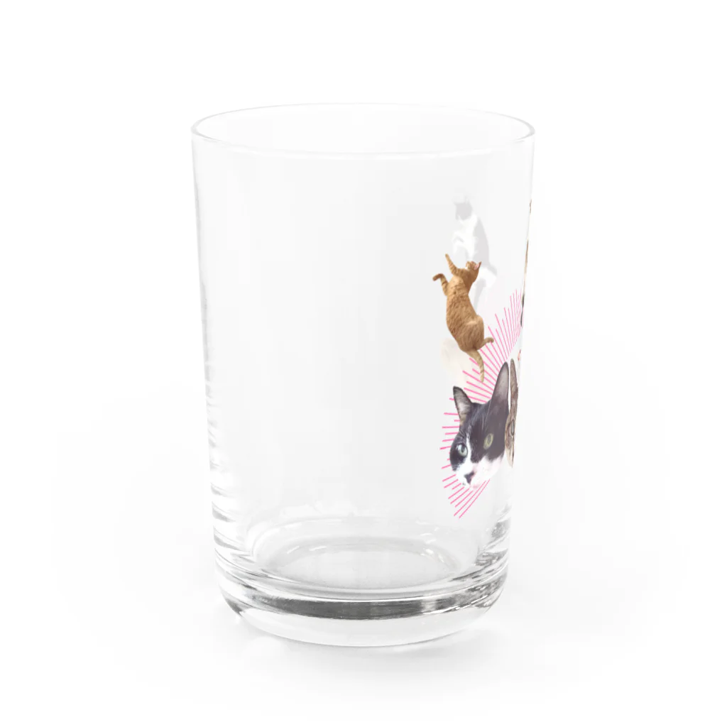 エビなしエビフライのうち猫崇拝<ピンク> Water Glass :left