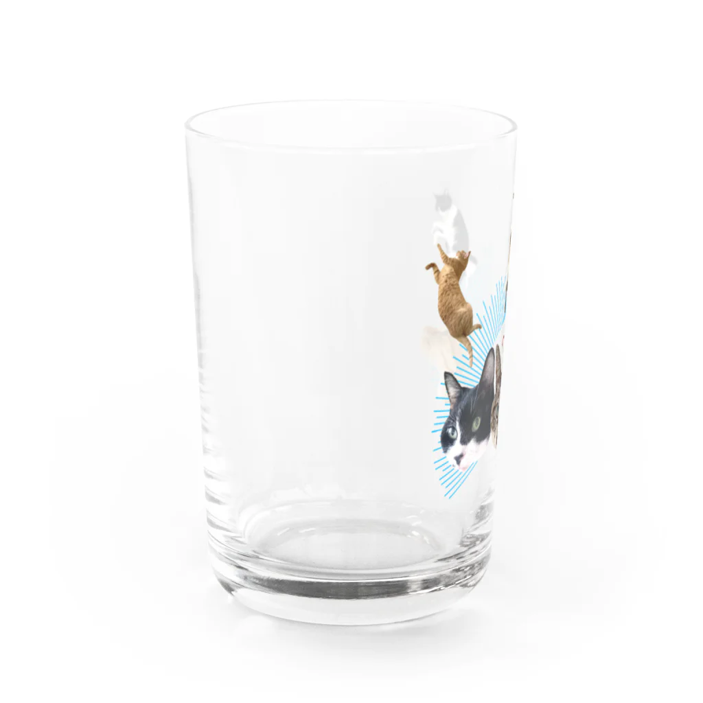 エビなしエビフライのうち猫崇拝<ブルー> Water Glass :left