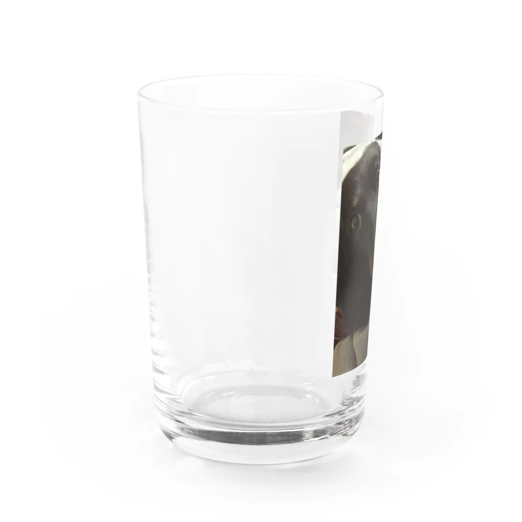 Sakupon1117のチョコ Water Glass :left