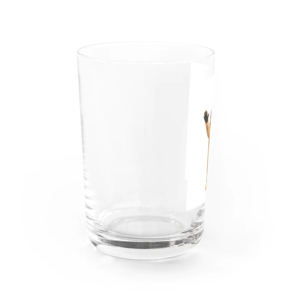 nekinekiのHey,Taxiキンシコウ  Water Glass :left