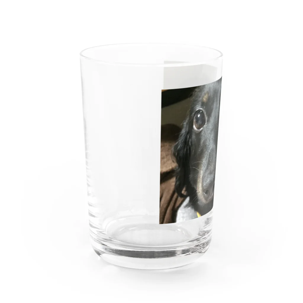 Sakupon1117のチョコ Water Glass :left