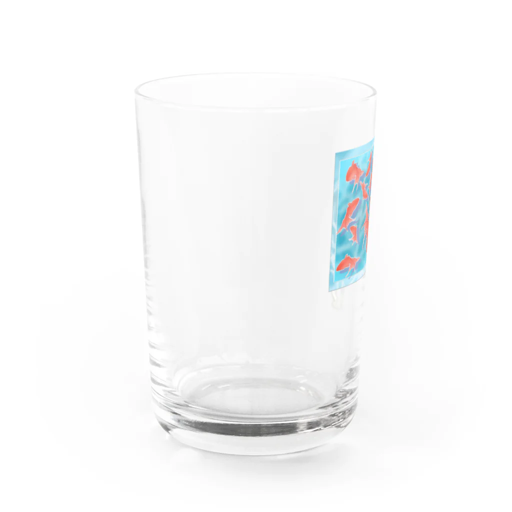 いろはにゃんこ堂の金魚をガン見するスナドリネコさん Water Glass :left