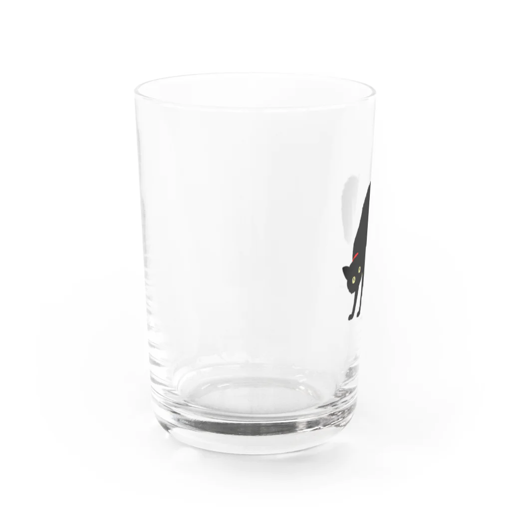 小鳥と映画館の赤い首輪のツンな黒猫ちゃん Water Glass :left