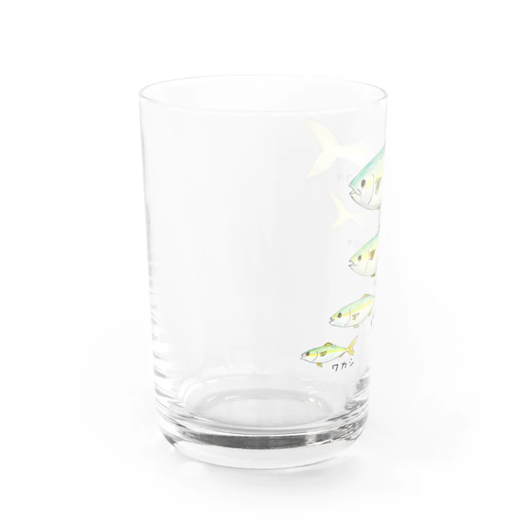 アングラースピリッツのブリの成長イラスト！ワカシ→イナダ→ワラサ→ブリ Water Glass :left