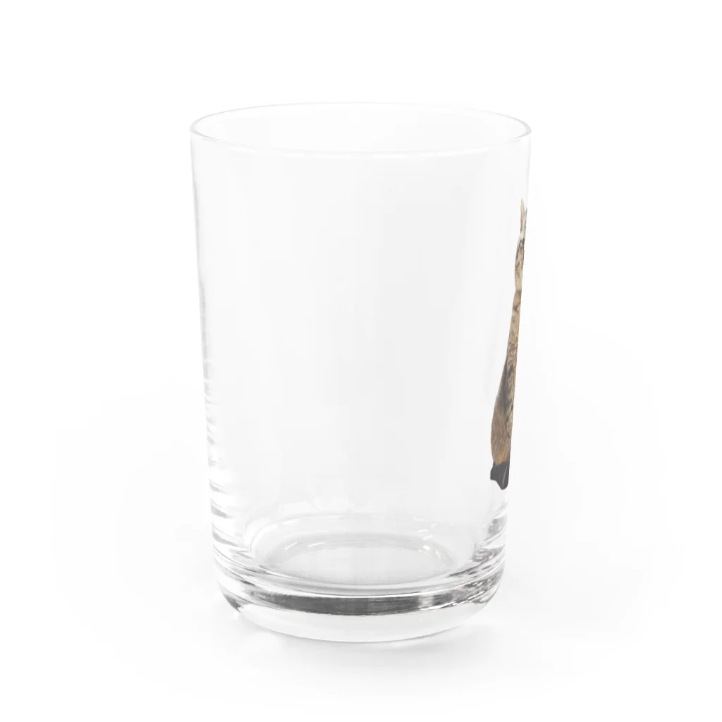 城のジロリまるぴ Water Glass :left