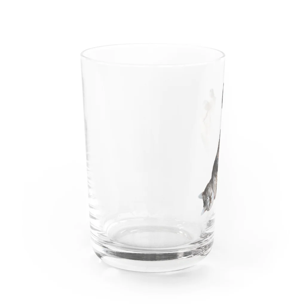 城の3月17日の落ちてる猫です Water Glass :left