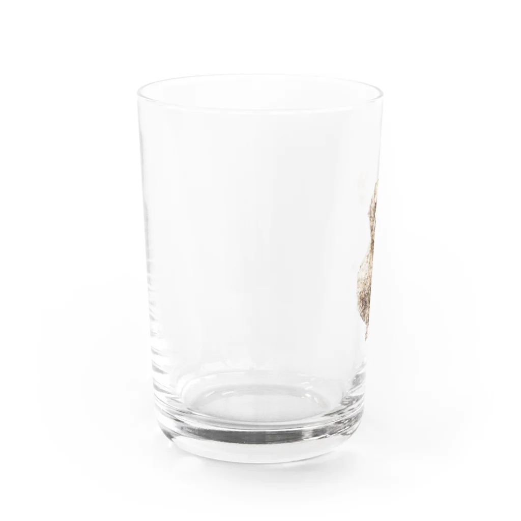 Ru.xxxのトイプードル☆Ru Water Glass :left