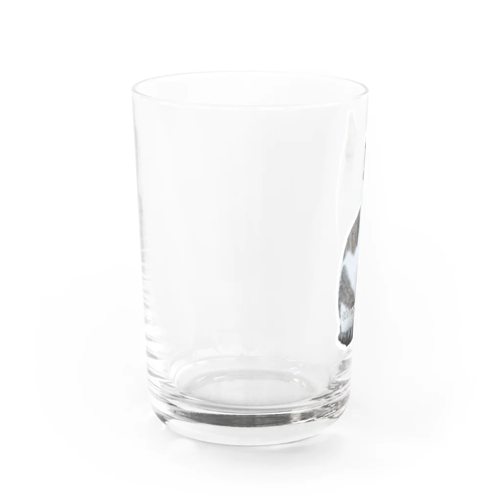 nekousagi*∩..∩のトラミ兄ちゃんリーダーの風格😽✨【nekousagi*∩..∩ロゴ入り】 Water Glass :left