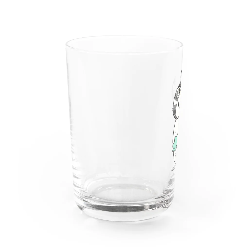 Miiiさんのふくろうウッサ氏【ミント】 Water Glass :left