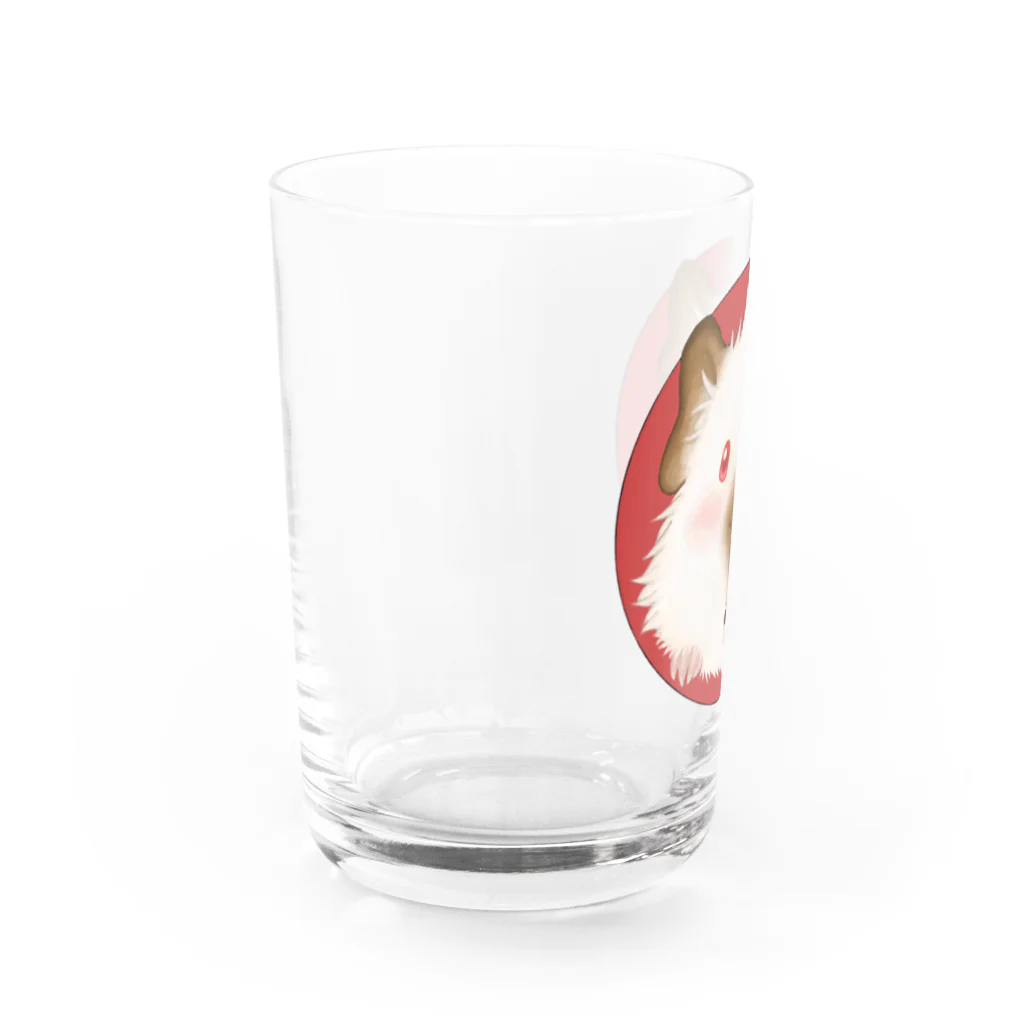 【モルモット】Mugi & Ruki【四国犬】のヒマラヤン モルモット君 Water Glass :left