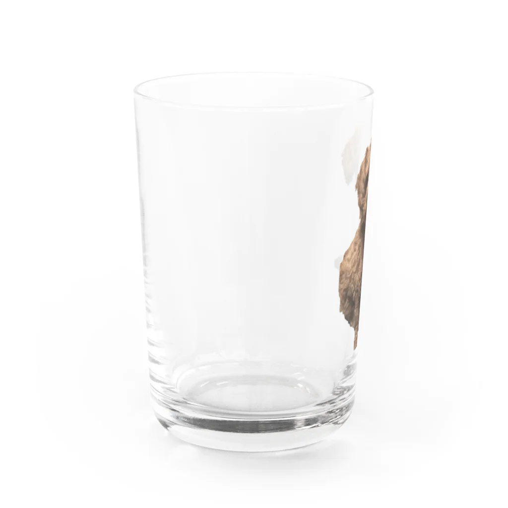 Ru.xxxのトイプードル☆Ru. Water Glass :left