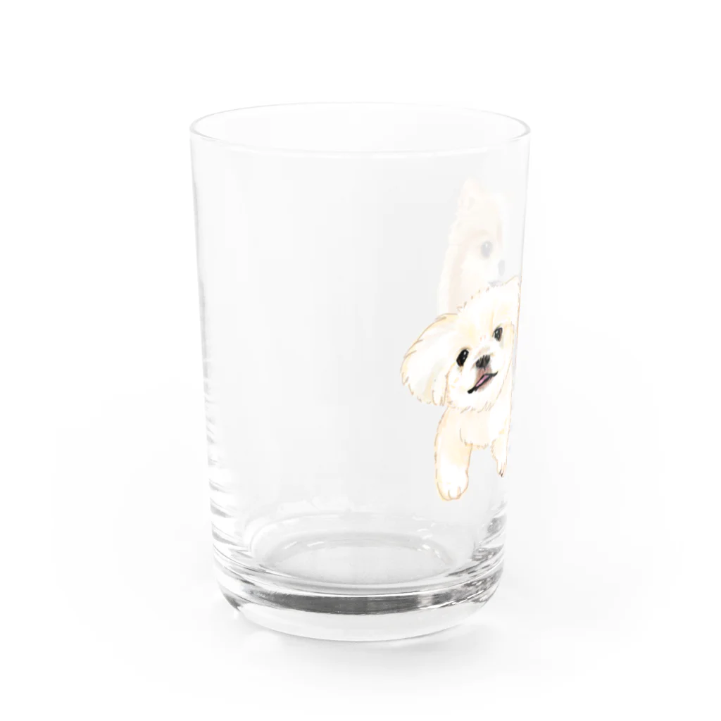 hanapecha_wannyanのポメペキちゃん＆ペキニーズ Water Glass :left