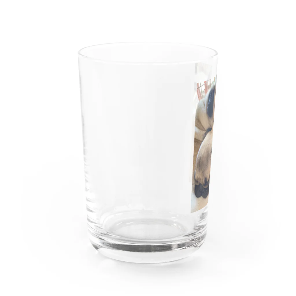 パグ　あんこ　ソルトのあんこ＆ソルトクッション Water Glass :left