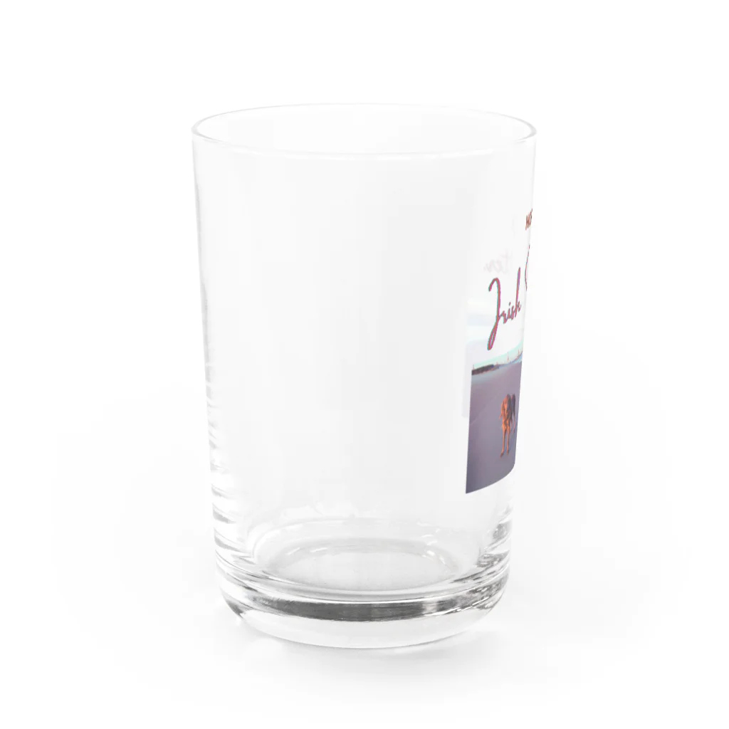 nordic_irishsetterのサマーノルディック Water Glass :left