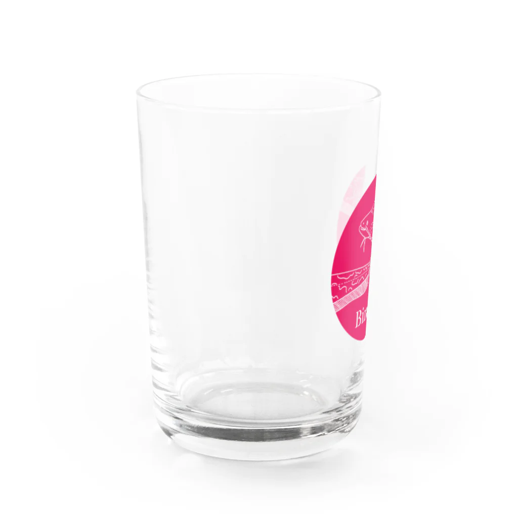 Bizarreのニホンナマズ(ピンク) Water Glass :left
