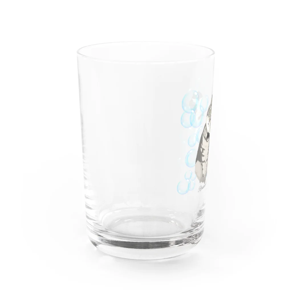 Letiの蘭丸、ましろ Water Glass :left