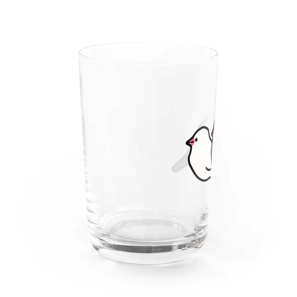 Oshiboriの白文鳥と桜文鳥 Water Glass :left