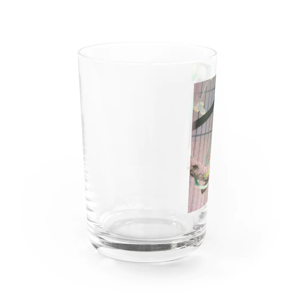 ruka2825のぱんくん Water Glass :left